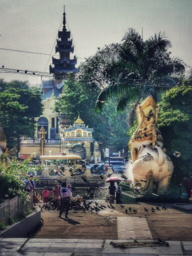 Park z widokiem na miasto